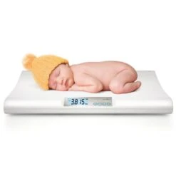 70 ANIN CIABATTA DONNA S. CIPRIA 35