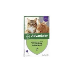 Bayer ADVANTAGE*spot-on Soluz 4 Pipette 0,8 Ml 80 Mg Gatti E Conigli Grandi