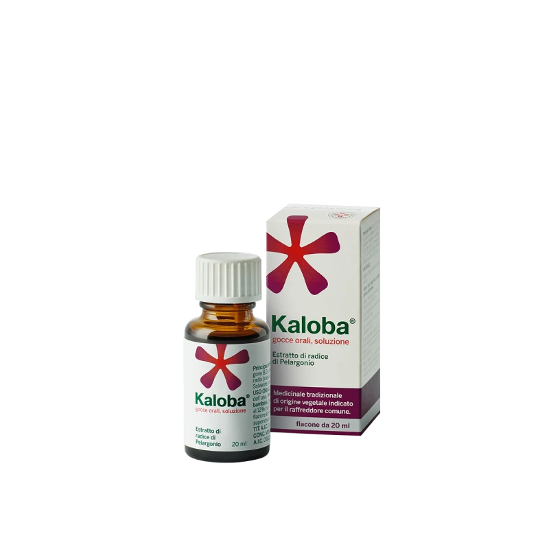 Dr. Willmar Schwabe Gmbh&co. Kg Kaloba Compresse Rivestite Con Film. Kaloba Gocce Orali, Soluzione. 1 Dr. Willmar Schwabe Gmbh&co. Kg Kaloba Compresse Rivestite Con Film. Kaloba Gocce Orali, Soluzione.