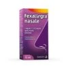 Fexallegra Spray Nasale